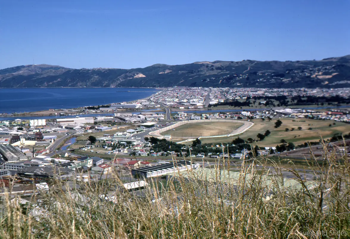 Beautiful green lawn in Lower Hutt